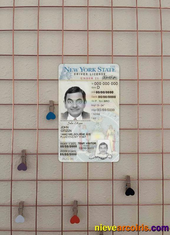 USA New York driving license photolook